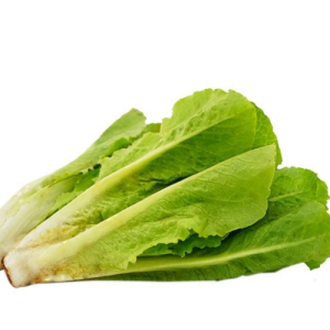 Xà lách Romaine
